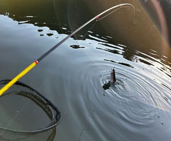 横浜フィッシングショー2026に「鬼神リミテッド」を持って行きます！