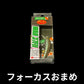 ラッキークラフト　ロデオコラボ　RCワウ37FⅡ