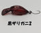 黒ザリガニ2