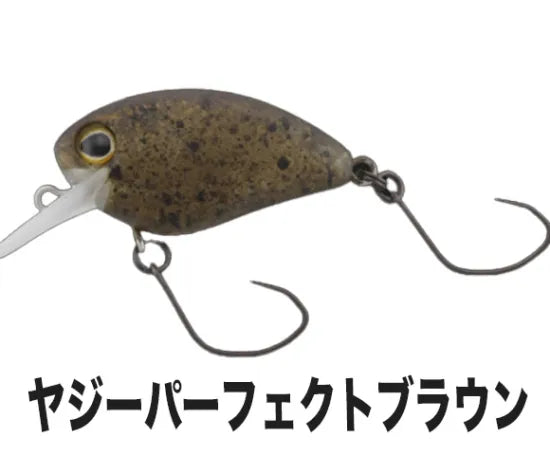 ティモン　TIMON フラパニ