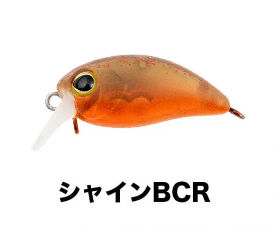 ティモン　ちびパニクラSR-SS