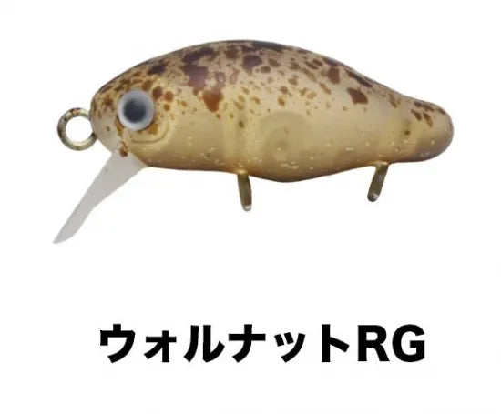 スミス　カディス