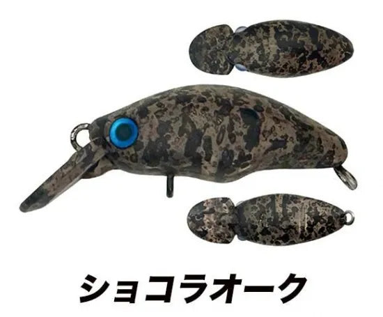 スミス 団子魚 ダンゴウオ – andfield365 スミス 団子魚 ダンゴウオ – andfield365