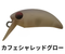 カフェシャレッドグロー